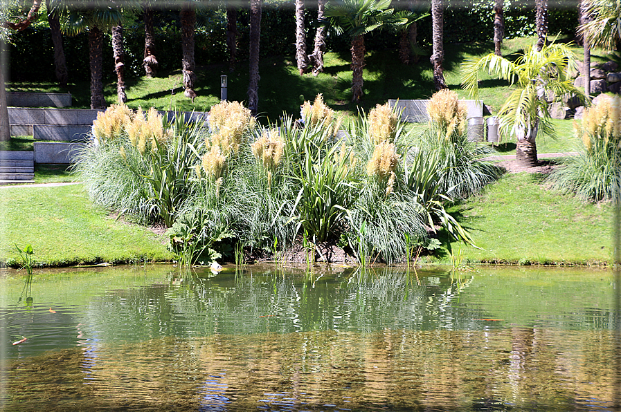 foto Giardini Trauttmansdorff - Giardini acquatici